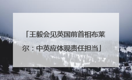 王毅会见英国前首相布莱尔：中英应体现责任担当