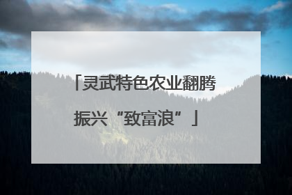 灵武特色农业翻腾振兴“致富浪”