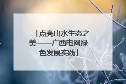 点亮山水生态之美——广西电网绿色发展实践