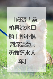 点赞！桑植县凉水口镇干部不惧河深流急，勇救落水人车