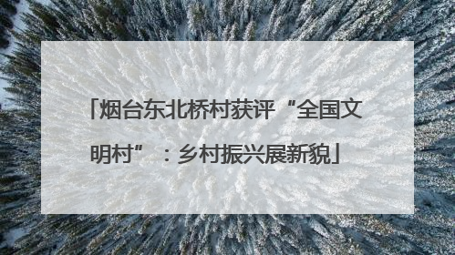 烟台东北桥村获评“全国文明村”：乡村振兴展新貌
