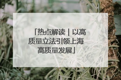 热点解读｜以高质量立法引领上海高质量发展