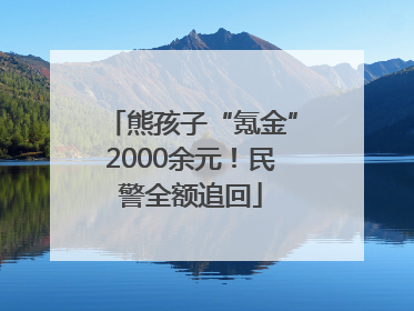 熊孩子“氪金”2000余元！民警全额追回