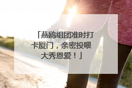 燕鸥组团准时打卡厦门，亲密投喂大秀恩爱！
