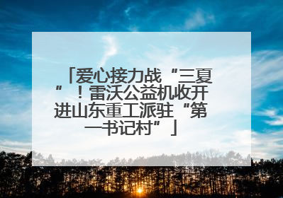 爱心接力战“三夏”！雷沃公益机收开进山东重工派驻“第一书记村”