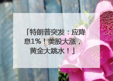 特朗普突发：应降息1%！美股大涨，黄金大跳水！