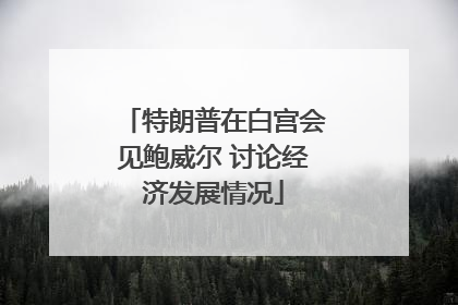 特朗普在白宫会见鲍威尔 讨论经济发展情况