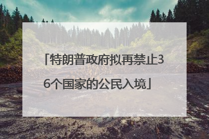 特朗普政府拟再禁止36个国家的公民入境