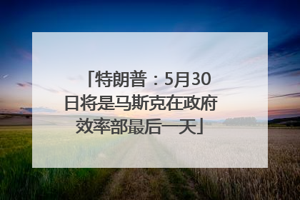 特朗普：5月30日将是马斯克在政府效率部最后一天