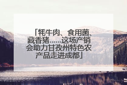 牦牛肉、食用菌、藏香猪……这场产销会助力甘孜州特色农产品走进成都