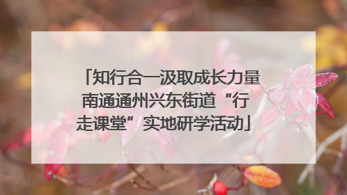 知行合一汲取成长力量 南通通州兴东街道“行走课堂”实地研学活动