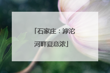 石家庄：滹沱河畔夏意浓