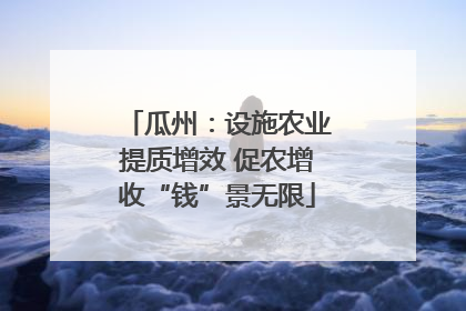 瓜州：设施农业提质增效 促农增收“钱”景无限