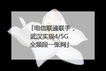 电信联通联手，武汉实现4/5G全频段一张网