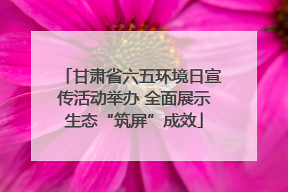 甘肃省六五环境日宣传活动举办 全面展示生态“筑屏”成效