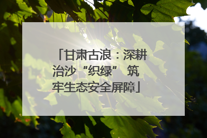 甘肃古浪：深耕治沙“织绿” 筑牢生态安全屏障