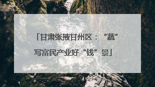 甘肃张掖甘州区：“蔬”写富民产业好“钱”景