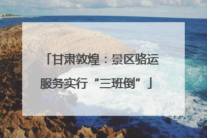 甘肃敦煌：景区骆运服务实行“三班倒”