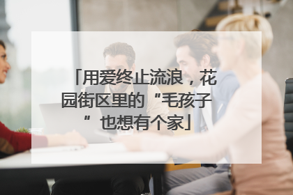 用爱终止流浪，花园街区里的“毛孩子”也想有个家