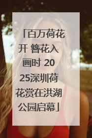 百万荷花开 簪花入画时 2025深圳荷花赏在洪湖公园启幕