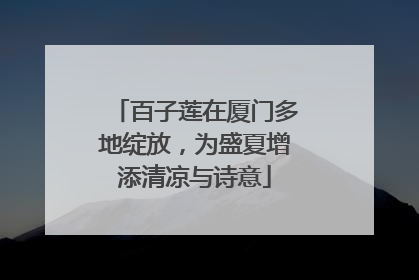 百子莲在厦门多地绽放，为盛夏增添清凉与诗意