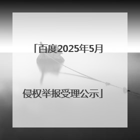 百度2025年5月侵权举报受理公示