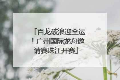 百龙破浪迎全运！广州国际龙舟邀请赛珠江开赛