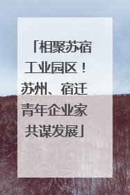 相聚苏宿工业园区！苏州、宿迁青年企业家共谋发展