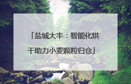 盐城大丰：智能化烘干助力小麦颗粒归仓
