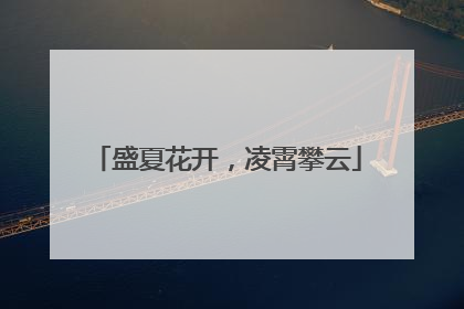 盛夏花开，凌霄攀云
