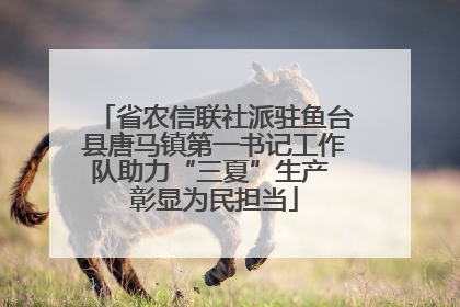 省农信联社派驻鱼台县唐马镇第一书记工作队助力“三夏”生产 彰显为民担当