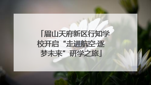 眉山天府新区行知学校开启“走进航空·逐梦未来”研学之旅