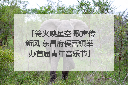 篝火映星空 歌声传新风 东昌府侯营镇举办首届青年音乐节