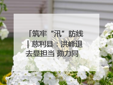 筑牢“汛”防线｜慈利县：洪峰退去显担当 勠力同心启新篇