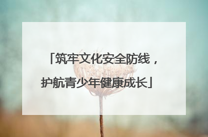 筑牢文化安全防线，护航青少年健康成长