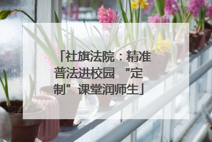社旗法院：精准普法进校园 “定制”课堂润师生