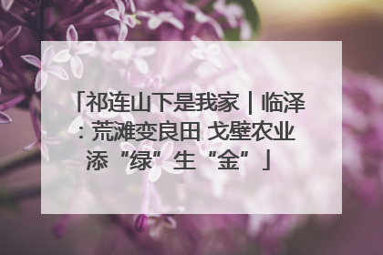 祁连山下是我家｜临泽：荒滩变良田 戈壁农业添“绿”生“金”