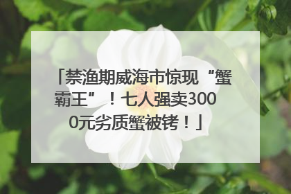 禁渔期威海市惊现“蟹霸王”！七人强卖3000元劣质蟹被铐！