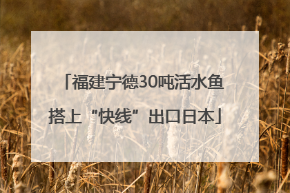 福建宁德30吨活水鱼搭上“快线”出口日本