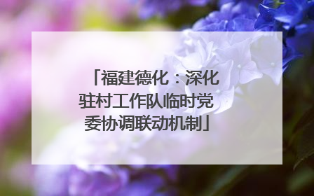 福建德化：深化驻村工作队临时党委协调联动机制