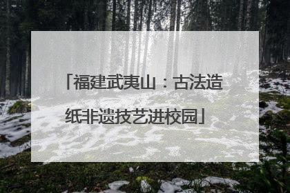 福建武夷山：古法造纸非遗技艺进校园