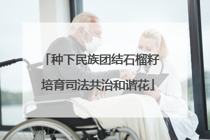 种下民族团结石榴籽 培育司法共治和谐花