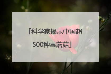 科学家揭示中国超500种毒蘑菇