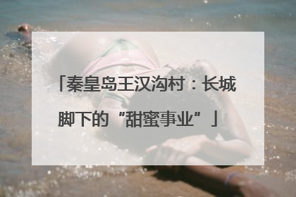 秦皇岛王汉沟村：长城脚下的“甜蜜事业”