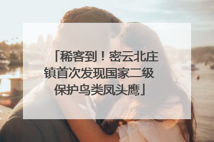稀客到！密云北庄镇首次发现国家二级保护鸟类凤头鹰