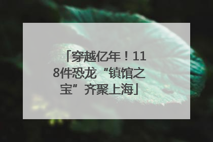 穿越亿年！118件恐龙“镇馆之宝”齐聚上海