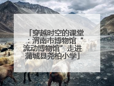 穿越时空的课堂：渭南市博物馆“流动博物馆”走进蒲城县尧柏小学