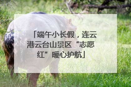 端午小长假，连云港云台山景区“志愿红”暖心护航