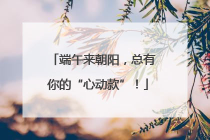 端午来朝阳，总有你的“心动款”！