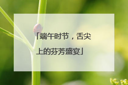端午时节，舌尖上的芬芳盛宴